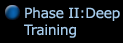 Phase II: Deep Training