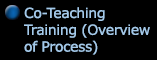 Co-Teaching Training Process