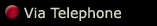 Via Telephone